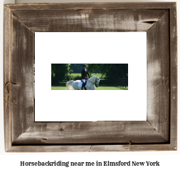 horseback riding near me in Elmsford, New York